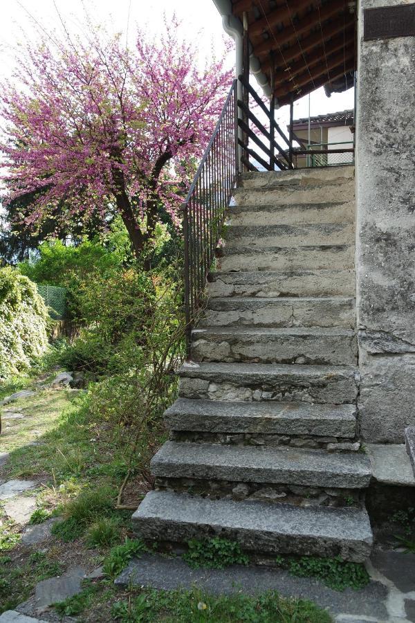 Ca Betulla Vila Novate Mezzola Exterior foto